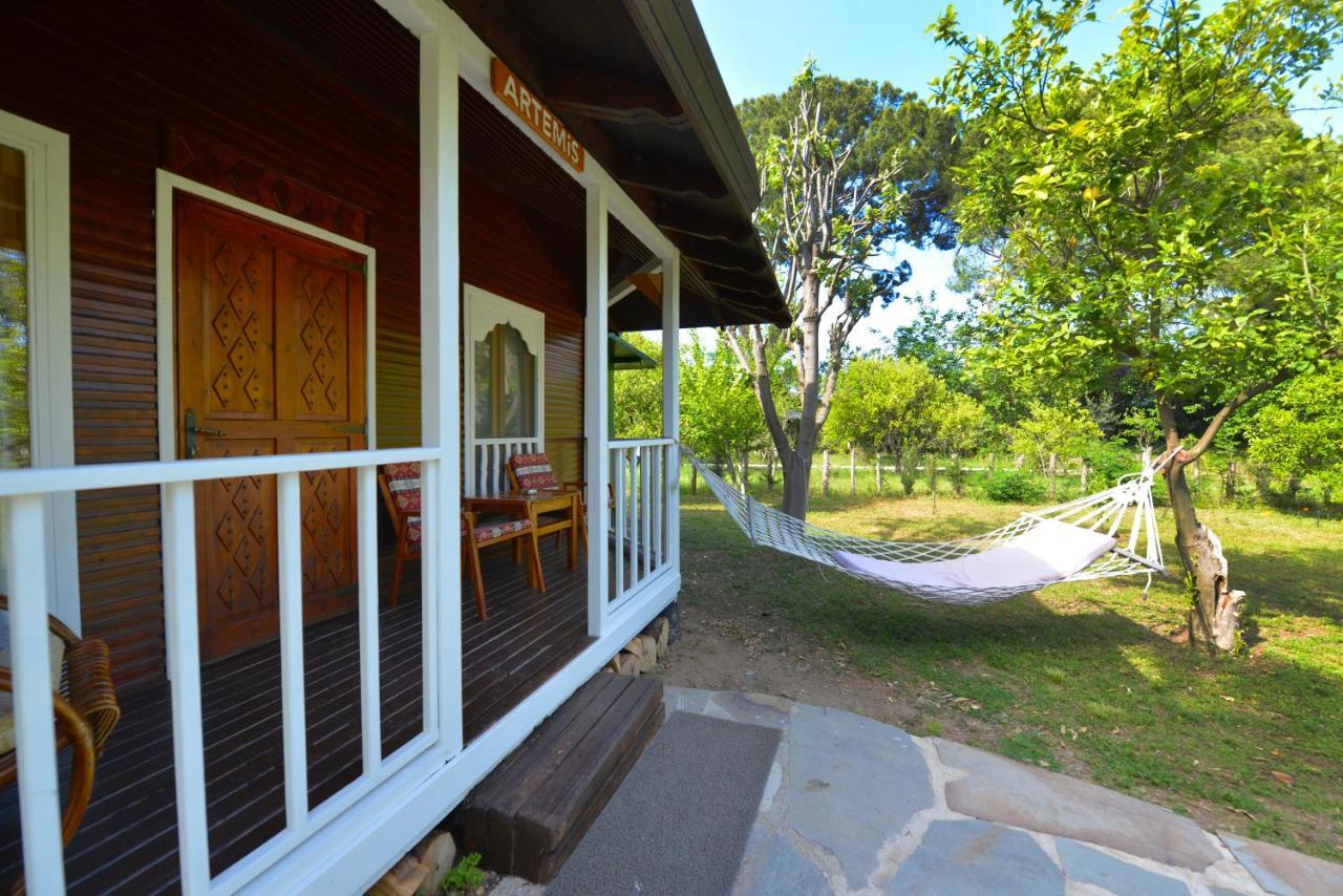 Arcadia Hotel Çıralı Exteriér fotografie