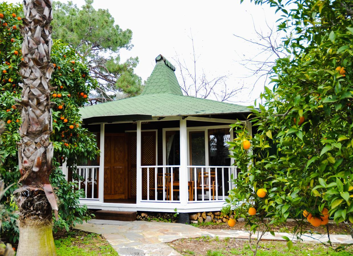 Arcadia Hotel Çıralı Exteriér fotografie